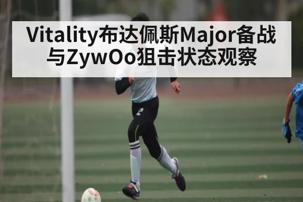 Vitality布达佩斯Major备战与ZywOo狙击状态观察（bandao）